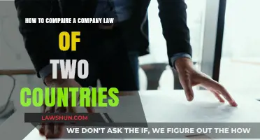 Comparing Company Laws: A Cross-Country Legal Analysis Guide