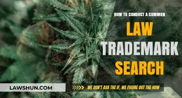 Trademark Search: Navigating Common Law Rights