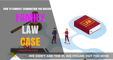 Conducting Examinations for Discovery in Family Law Cases