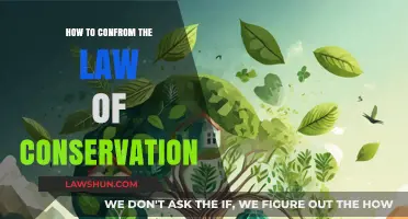 Mastering the Law of Conservation: Practical Tips for Sustainable Living