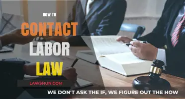 Navigating Labor Law: Essential Steps to Contact Legal Experts