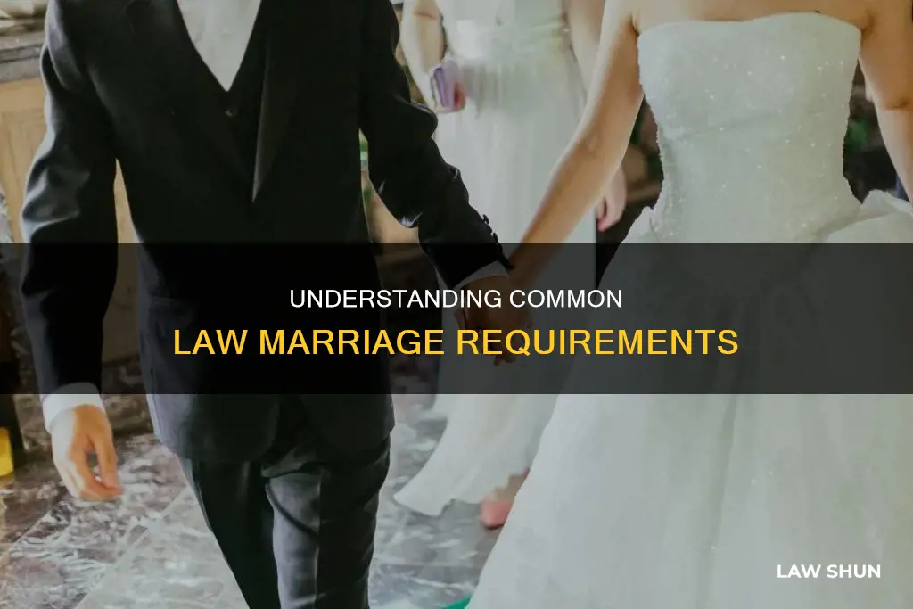 how to contract a valid common law marriage