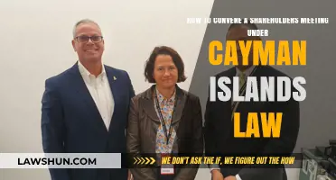 Convening Shareholders Meetings in the Cayman Islands: A Legal Guide