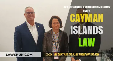 Convening Shareholders Meetings in the Cayman Islands: A Legal Guide
