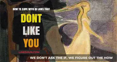 Surviving Family Dynamics: Strategies to Handle Unsupportive In-Laws Gracefully