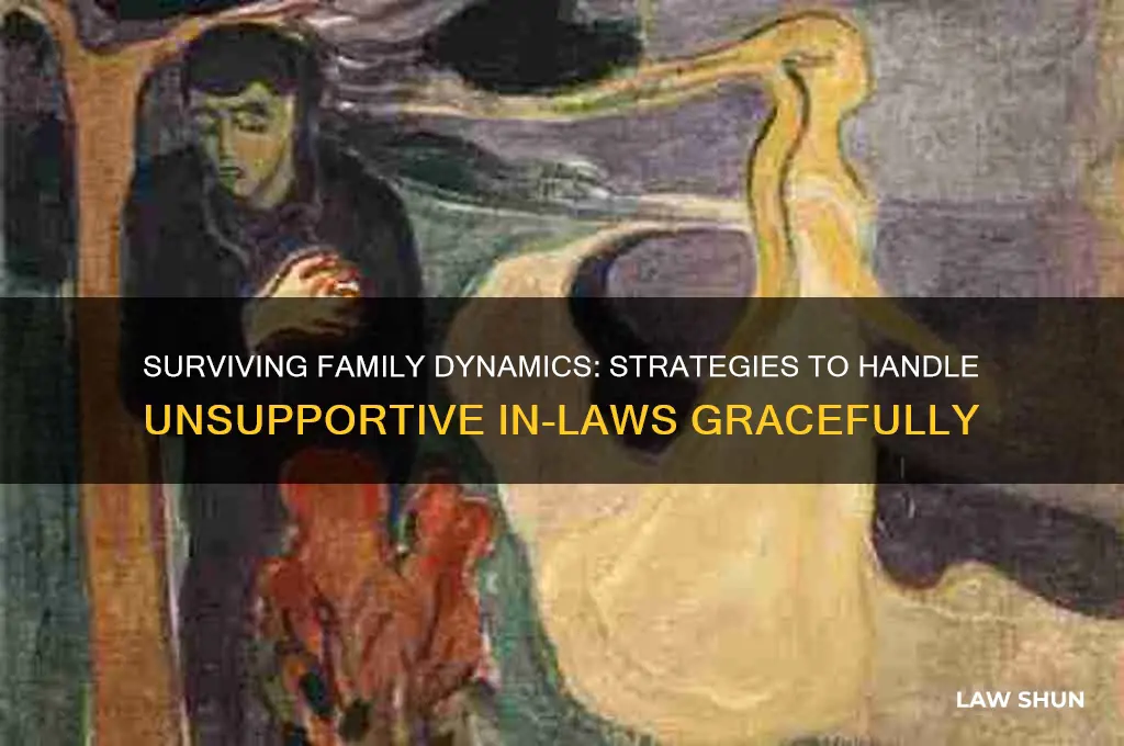 how to cope with in laws that dont like you