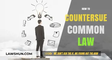 Understanding Your Right to Countersue in Common Law