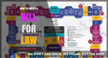 Crafting a Law: The Art of Bill-Making
