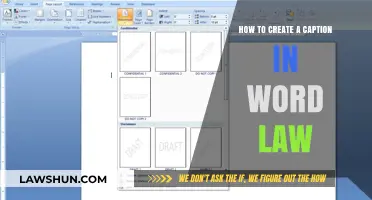 Creating Captions: A Step-by-Step Guide for Word Law