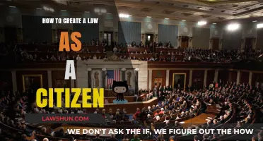 Creating Laws: A Citizen's Guide