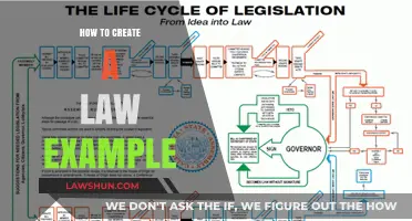 Creating Legal Precedent: A Step-by-Step Guide