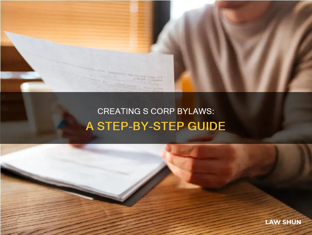 how to create by laws for s corp