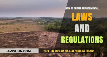 Creating Environmental Laws: A Guide to Effective Regulation