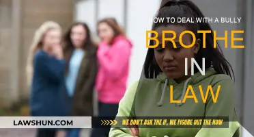 Dealing with a Bully Brother-in-Law: Strategies for Peace