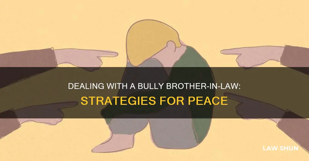 how to deal with a bully brother in law
