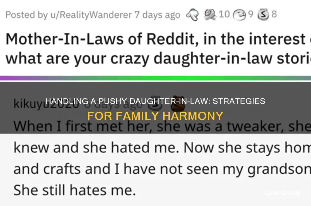 how to deal with a pushy daughter in law