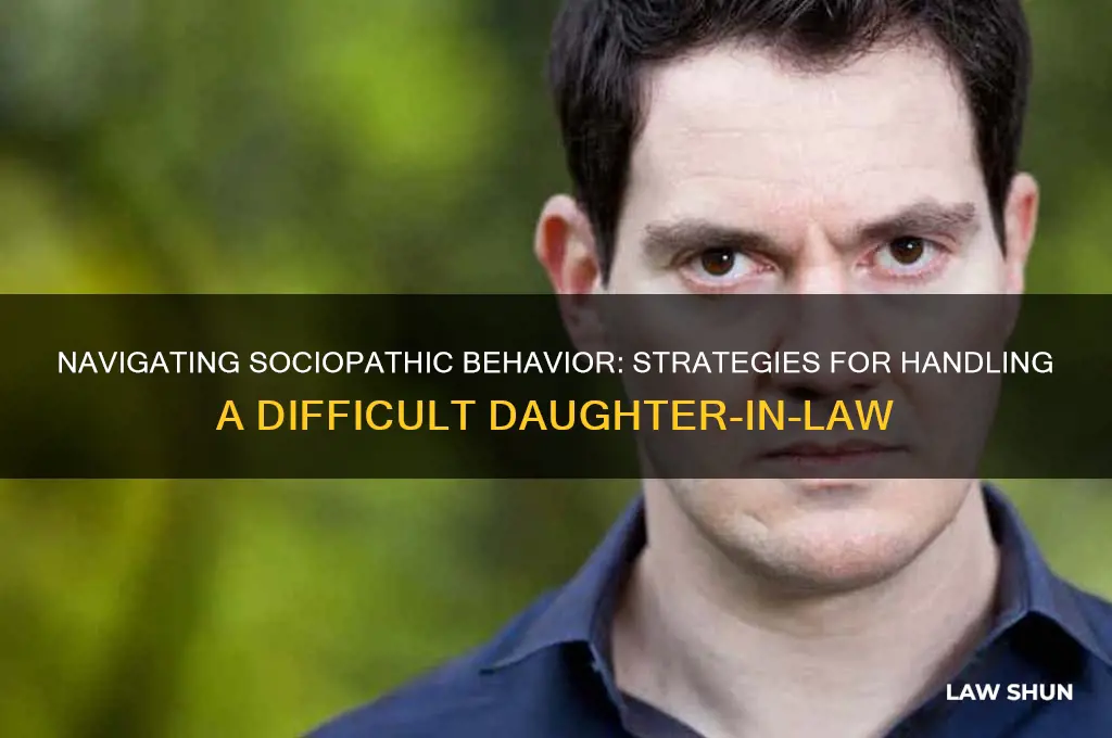 how to deal with a sociopath daughter in law
