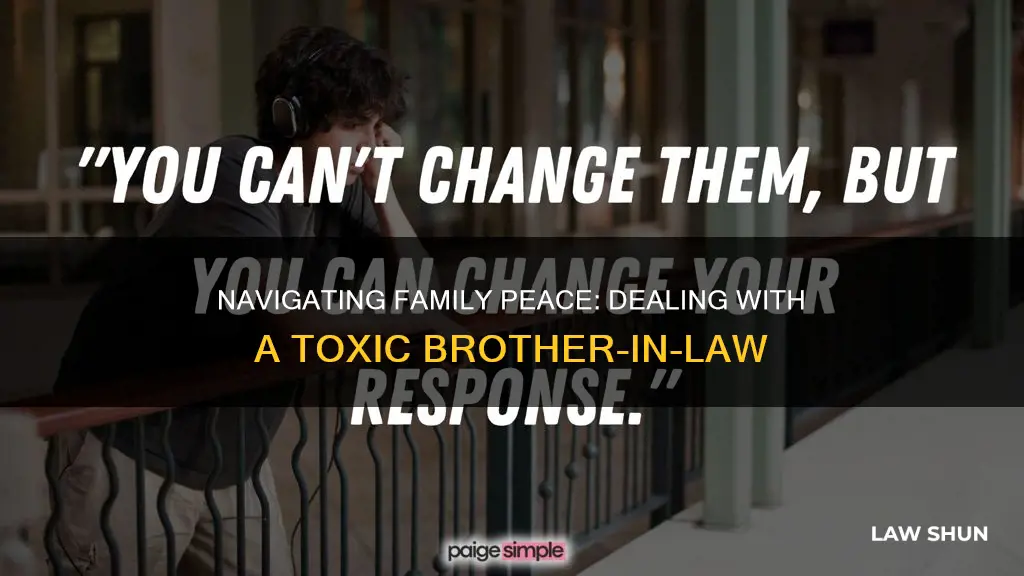 how to deal with a toxic brother in law