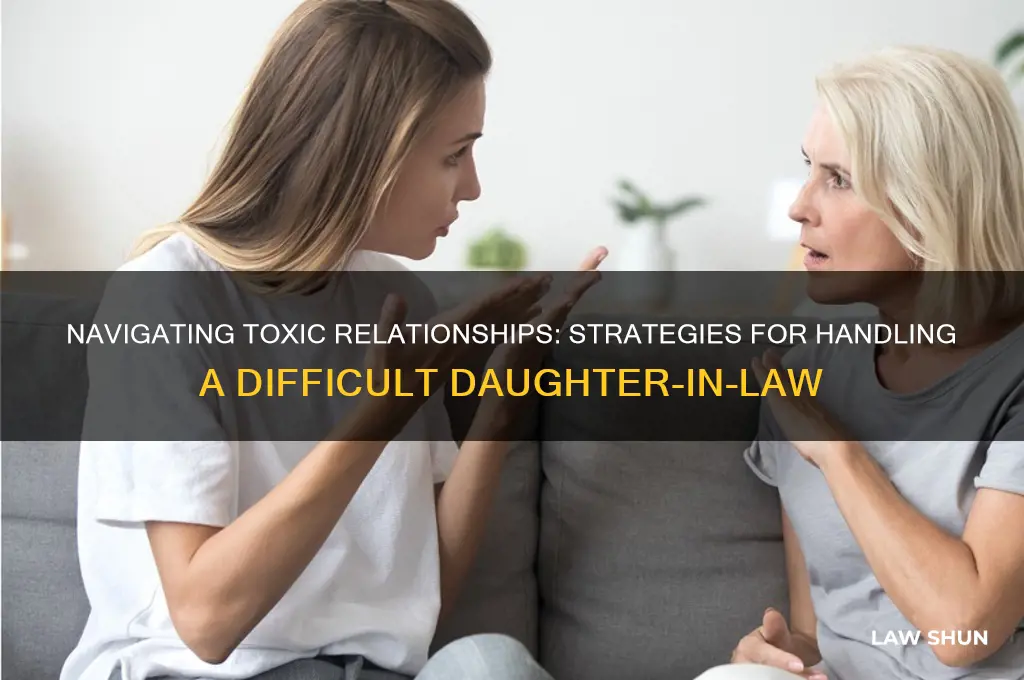 how to deal with a toxic daughter in law
