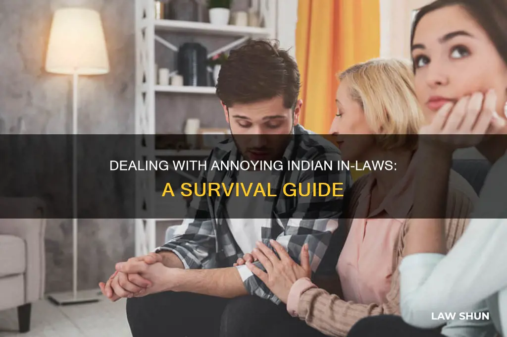 how to deal with annoying indian in laws