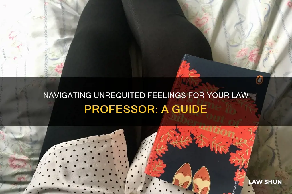 how to deal with being in love with law professor