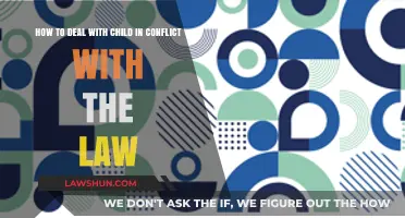 Guiding Troubled Youth: Strategies for Handling Juvenile Legal Conflicts