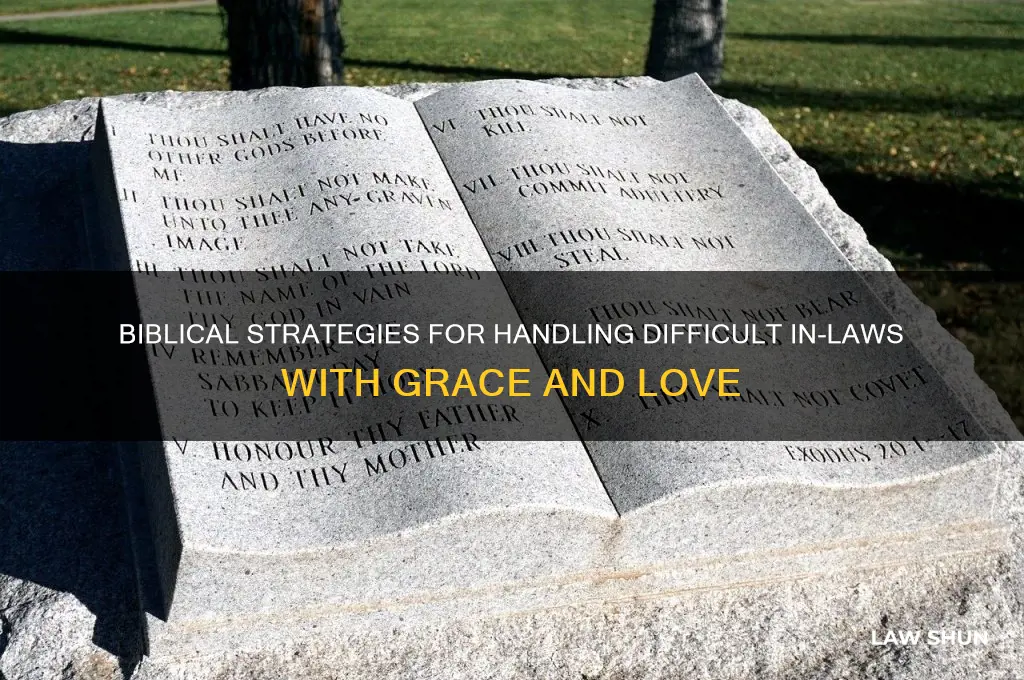 how to deal with difficult in-laws with a christian perspecitve