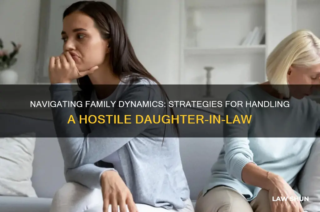 how to deal with hostile daughter in law