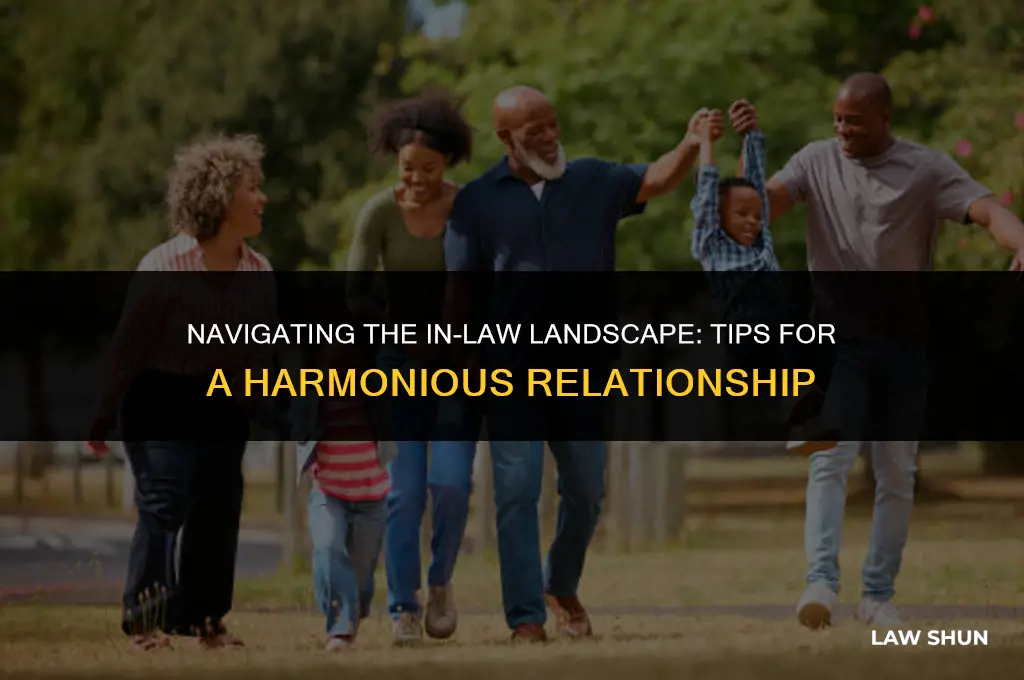 how to deal with in laws