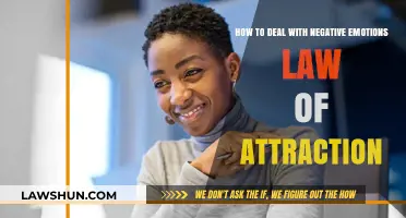 Mastering Negative Emotions: Aligning with the Law of Attraction for Positivity