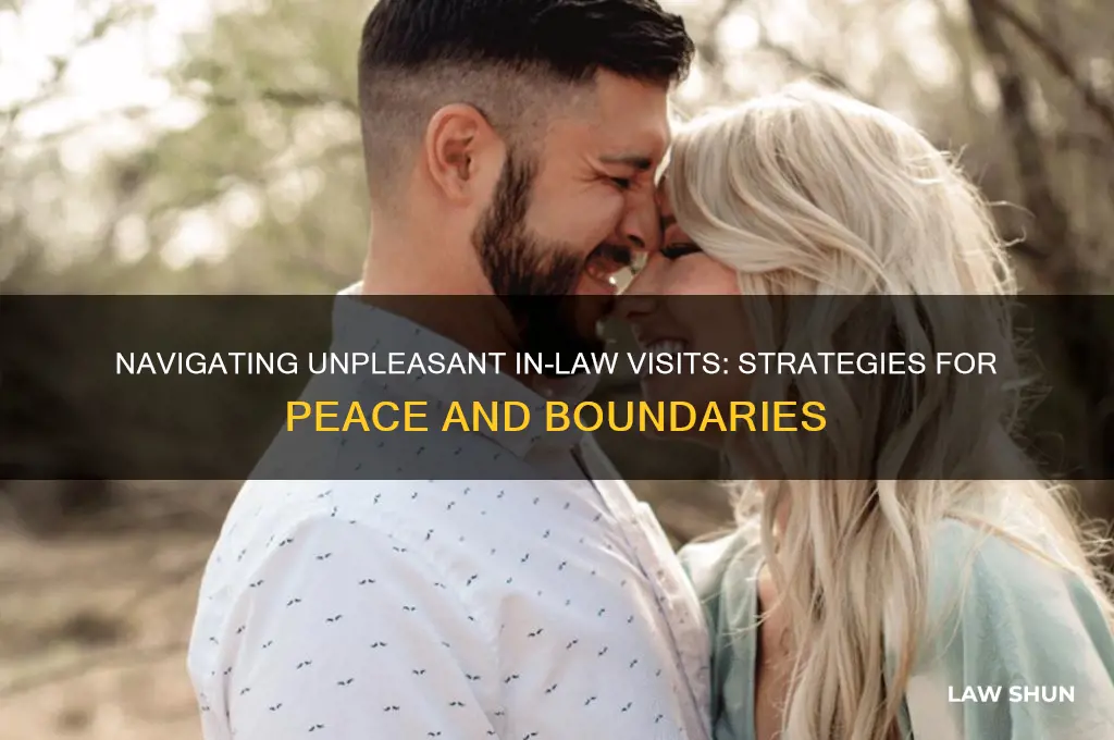 how to deal with unpleasant in-laws when we are visiting