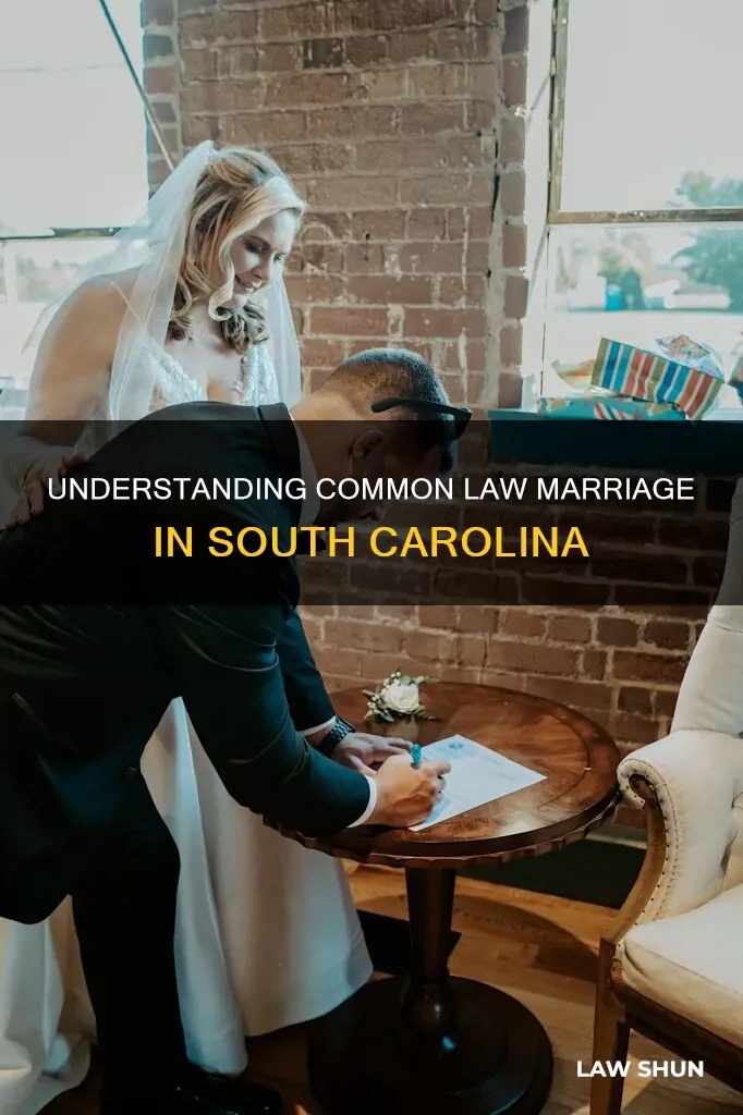 how to declare common law in south carolina
