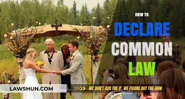 Understanding Common Law Marriage Declarations
