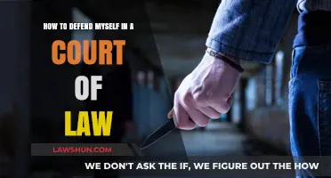 Mastering Self-Defense in Court: Essential Strategies for Legal Success