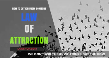 Detach and Attract: Mastering the Law of Attraction for Emotional Freedom