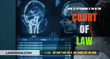 Proving Traumatic Brain Injury in Court: Legal Strategies and Evidence
