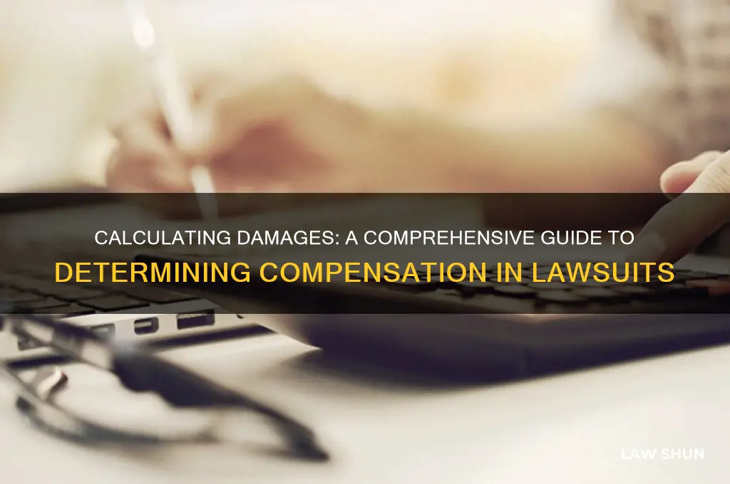 how to determine damages in a law suit