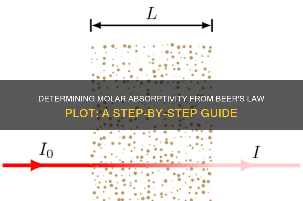 how to determine the e from a beer