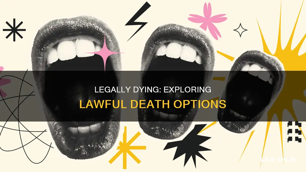 how to die with out breaking the law