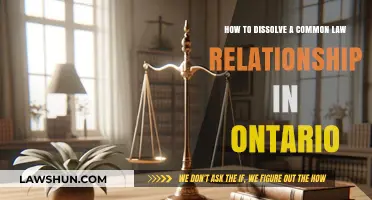 Dissolving Common Law: What You Need to Know