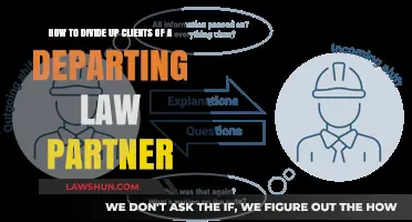 Strategic Client Transition: Navigating Departing Law Partner Handovers Effectively