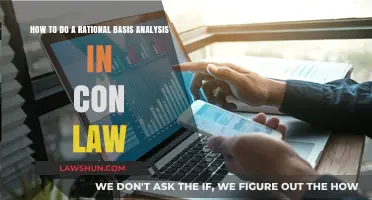 Mastering Rational Basis Analysis in Constitutional Law: A Step-by-Step Guide