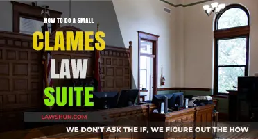 Mastering Small Claims Court: A Step-by-Step Guide to Winning Your Case