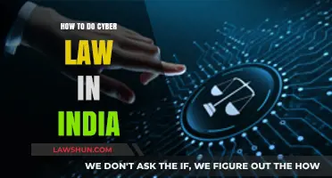 Exploring India's Cyber Law: A Comprehensive Guide