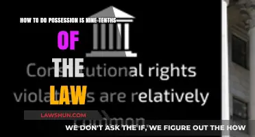 Mastering Legal Ownership: Practical Tips for Applying Possession Rights
