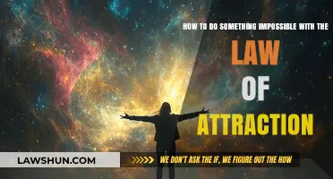 Manifest the Impossible: Mastering the Law of Attraction for Unthinkable Success