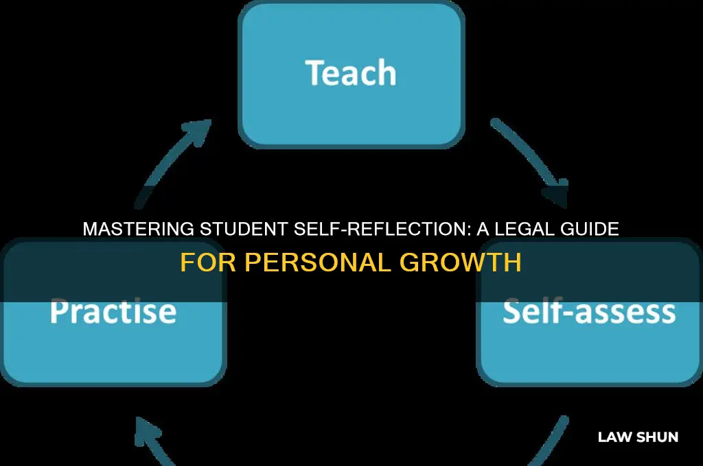 how to do student self-reflection law
