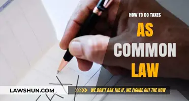 Filing Taxes as a Common-Law Couple: A Guide