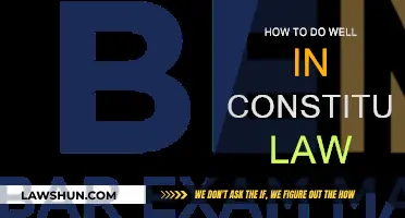 Mastering Constitutional Law: Strategies for Success