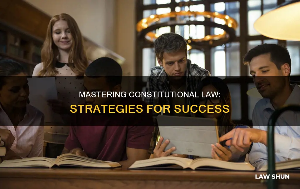 how to do well in constitutional law